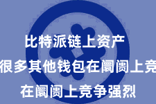 比特派链上资产 但也有很多其他钱包在阛阓上竞争强烈