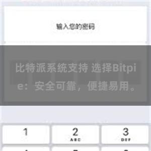 比特派系统支持 选择Bitpie：安全可靠，便捷易用。