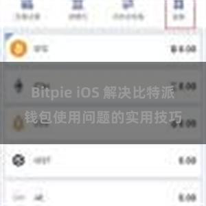 Bitpie iOS 解决比特派钱包使用问题的实用技巧