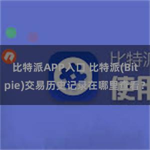 比特派APP入口 比特派(Bitpie)交易历史记录在哪里查看？