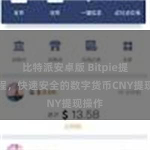 比特派安卓版 Bitpie提现教程，快速安全的数字货币CNY