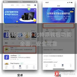 比特派支持 比特派钱包功能全面，安全可靠