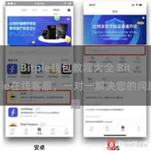 Bitpie钱包教程大全 Bitpie在线客服，一对一解决您
