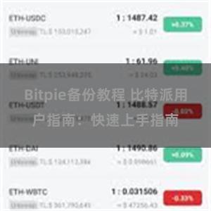 Bitpie备份教程 比特派用户指南：快速上手指南