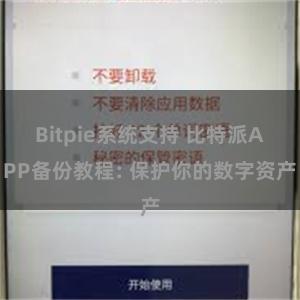 Bitpie系统支持 比特派APP备份教程: 保护你的数字资产