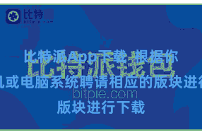 比特派App下载  根据你的手机或电脑系统聘请相应的版块进行下载
